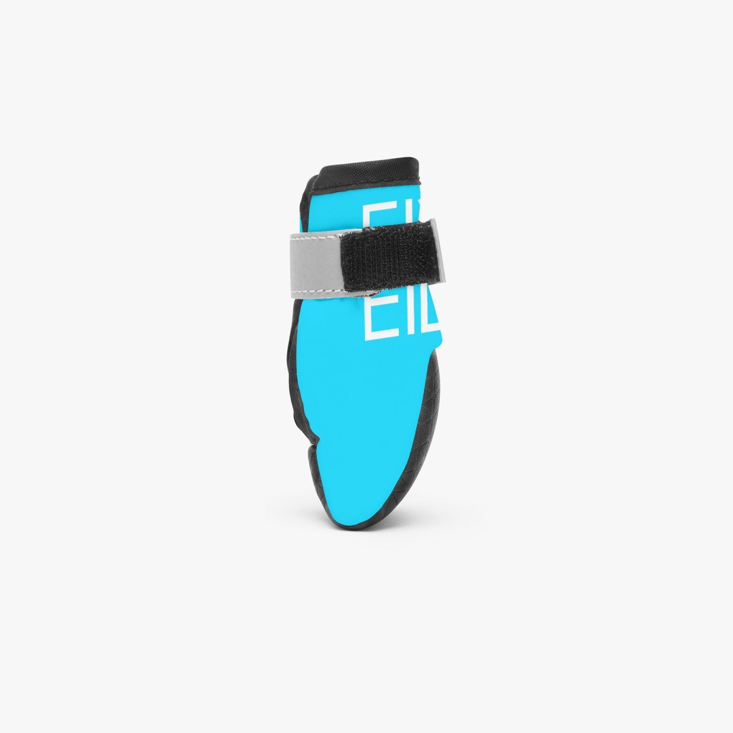 Sixty Eight 93 Logo White Aqua Blue Dog Shoes